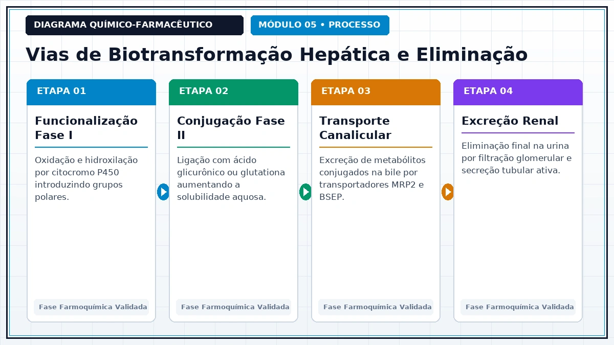 Diagrama Técnico e Rota de Process Chemistry - Metabolismo de Fármacos e Pró-Fármacos
