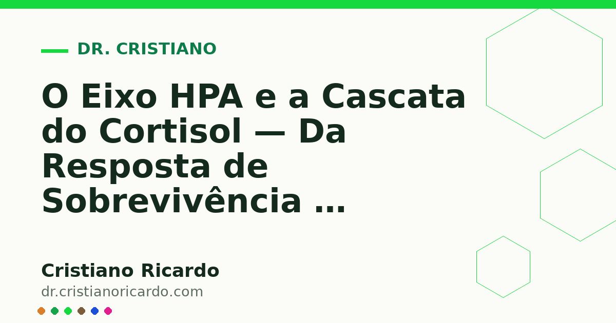 Card OG automático: O Eixo HPA e a Cascata do Cortisol — Da Resposta de Sobrevivência à Exaustão